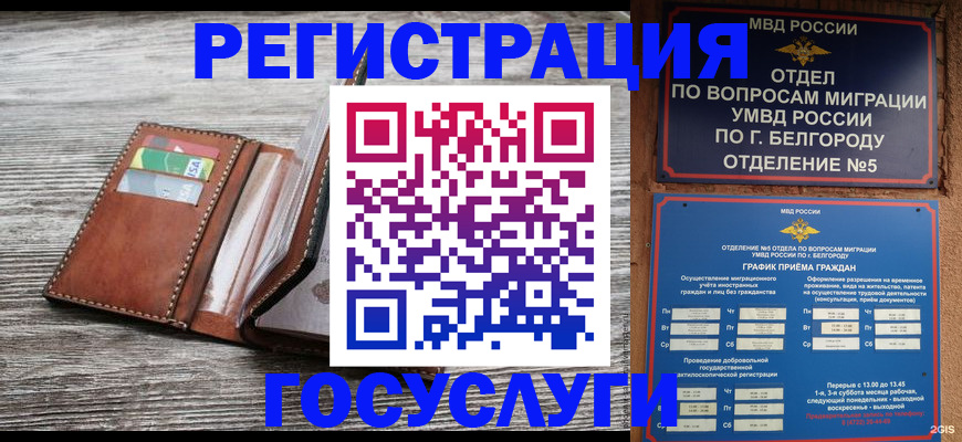 временная регистрация гарантия в Вольске